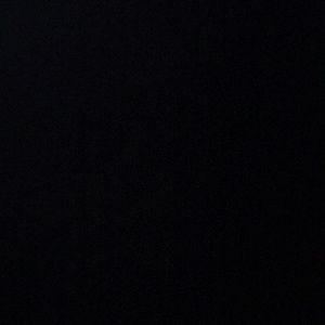 Meet your Posher, Travon